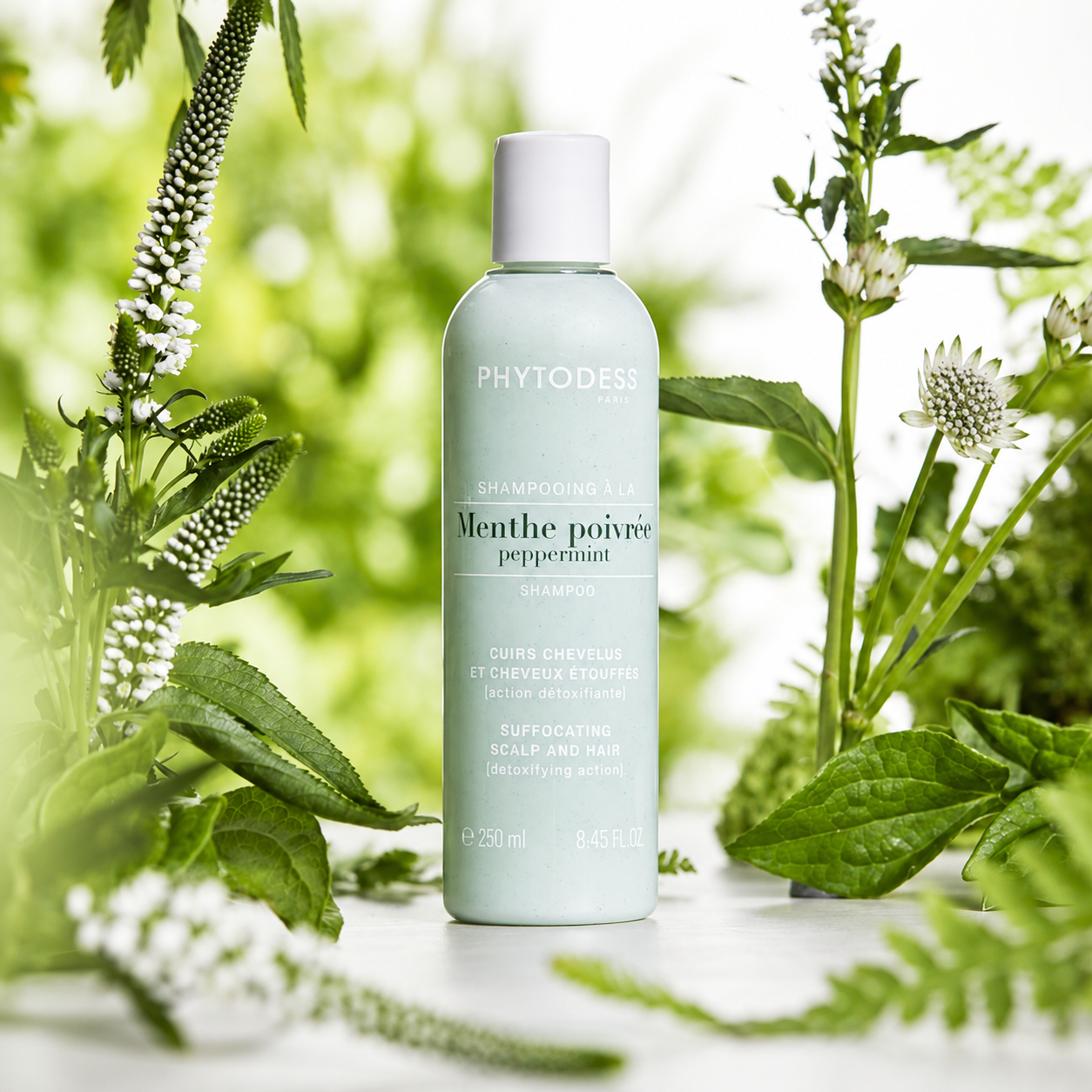 Phytodess Paris